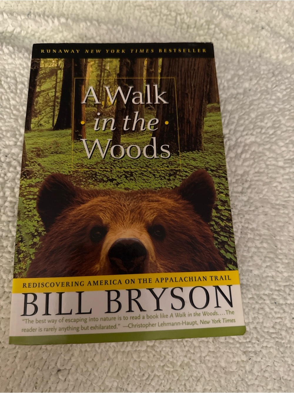 A walk in the woods